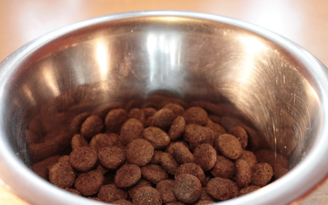 Your Frequently Asked Questions About Pet Food