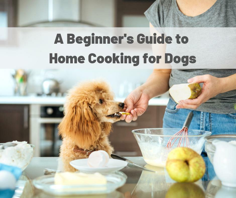 Dog Fat Network Video - A Beginner's Guide to Home Cooking for Dogs â€“ Union Lake Veterinary Hospital