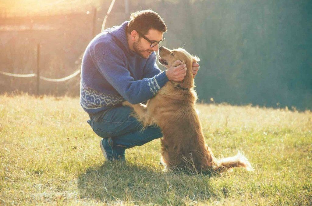 How the Love of Pets Heals and Harmonizes Our Lives