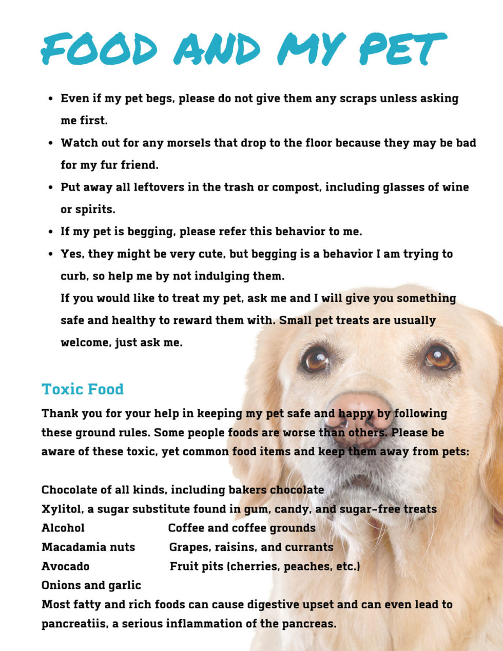 Begging Pets! Ground Rules for Family and Friends - Union Lake Blog