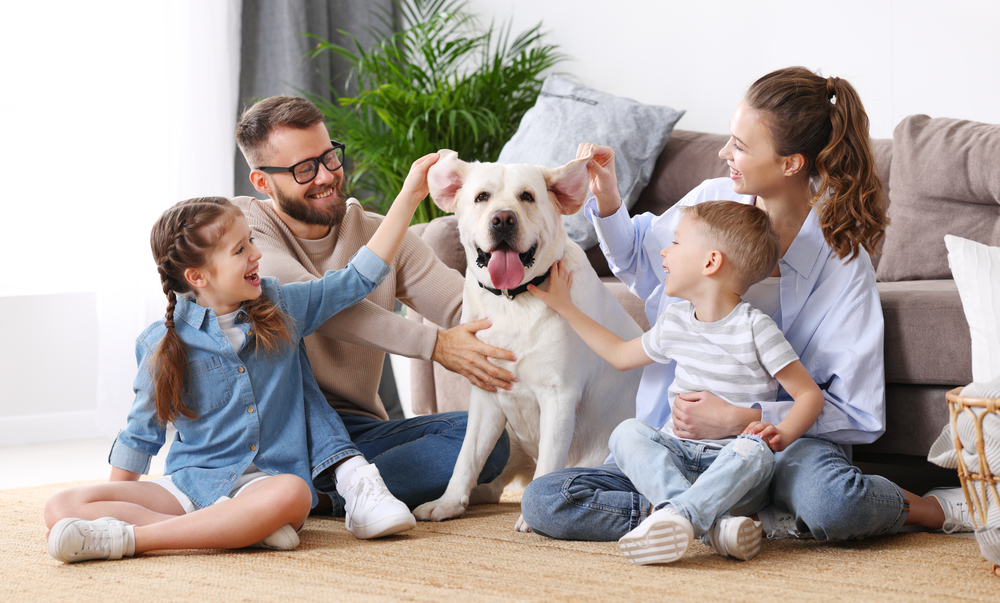 Pet Insurance: Why You Need It and How to Choose It