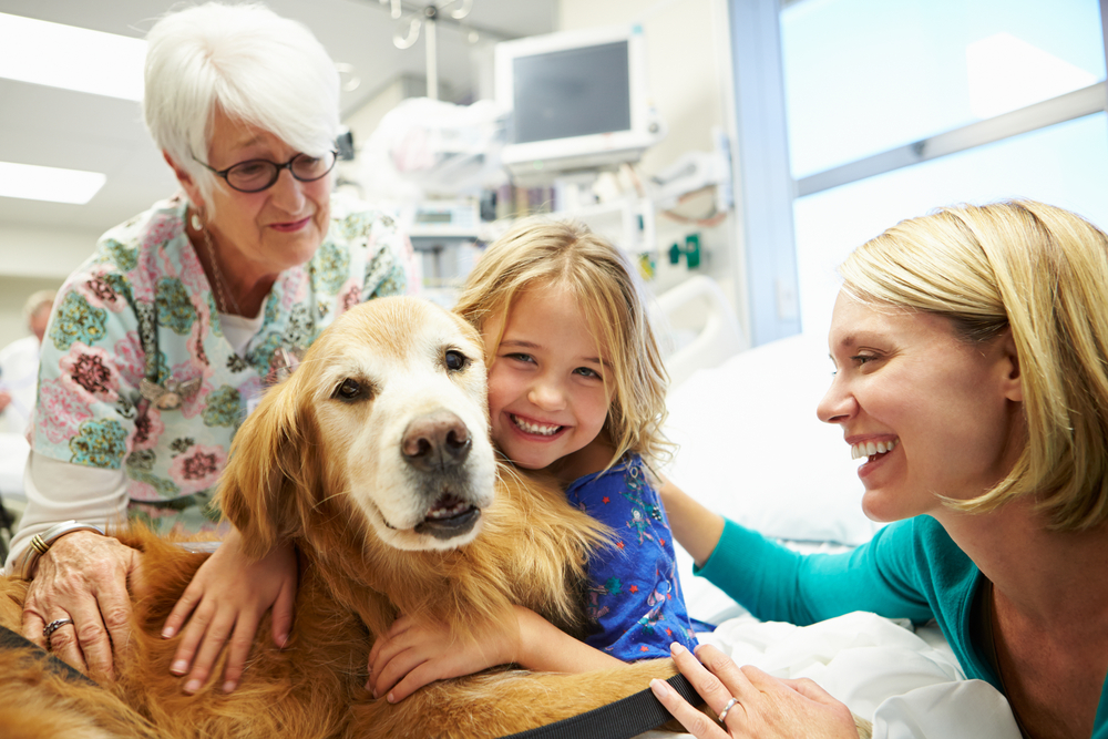 Pets Help Kids Through Challenging Times