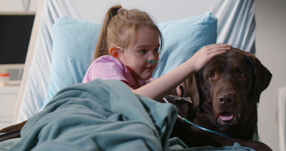 Volunteering with Your Pet: Get Started with Therapy Animal Programs