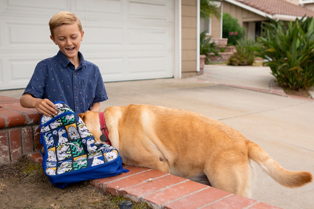 Hidden pet hazards in your child’s backpack