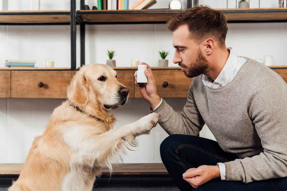 Veterinary Supplements for Your Pet’s Joint Health