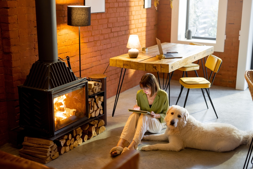 Why Indoor Air Quality Matters for Pets in Winter