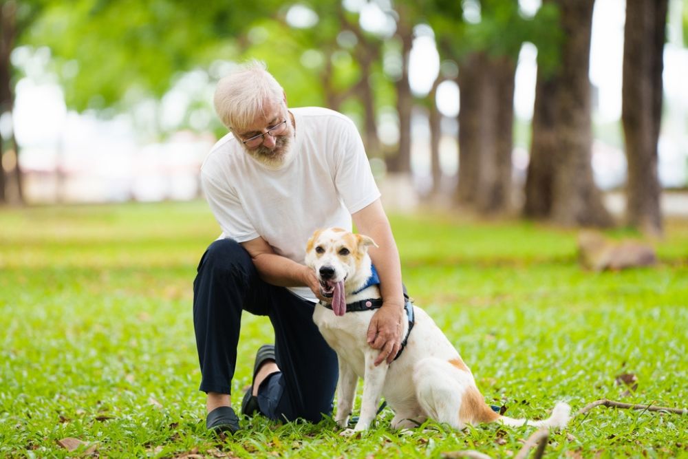 Helping Dogs Stay Active at Every Life Stage